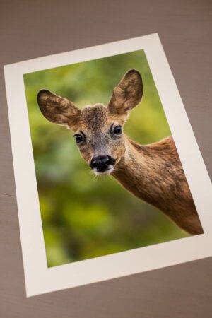 Tirages photo